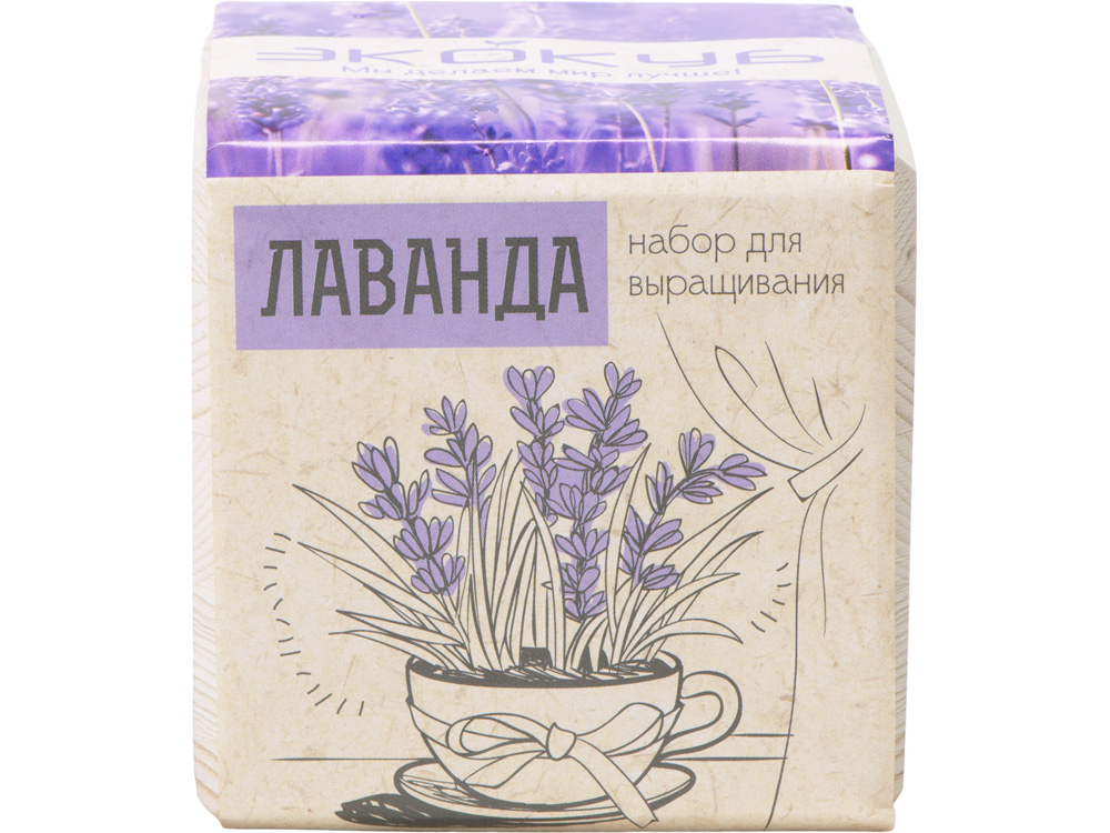 Набор для выращивания «Лаванда» — изображение 3